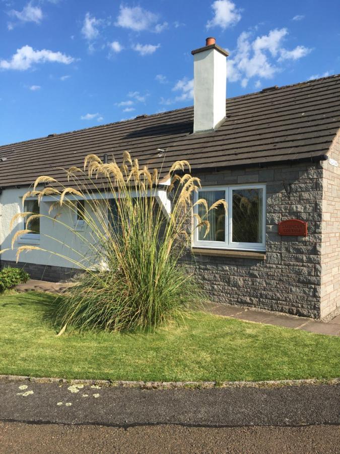 Lavender Cottage With Parking And Beautiful Views Spring Special Carsphairn Buitenkant foto